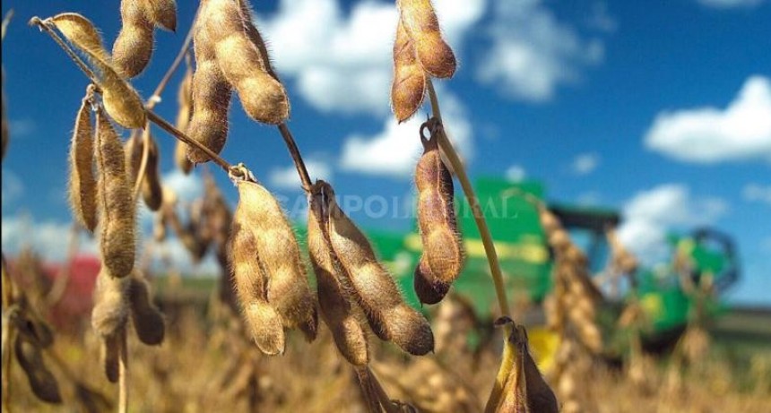 Expellers, balanceados y alquileres fueron excluídos del dólar soja