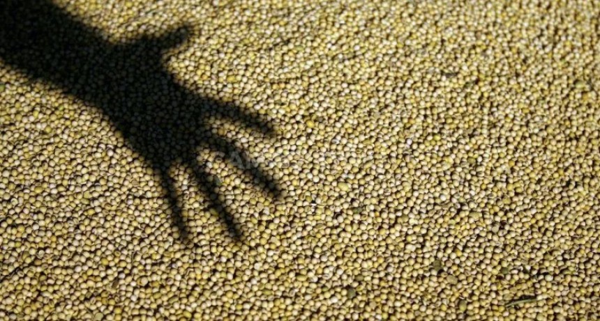  Apriete a sojeros: quien no liquide la cosecha pagará más interés