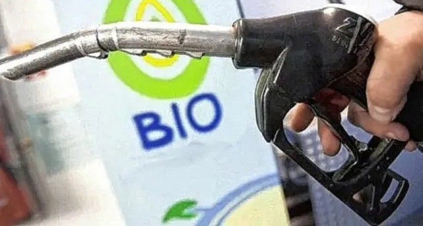 Vehículos oficiales empezarán a trabajar 