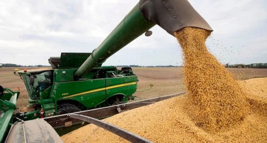 Dólar soja: acopiadores piden extenderlo hasta 31 de octubre para que no afecte los precios