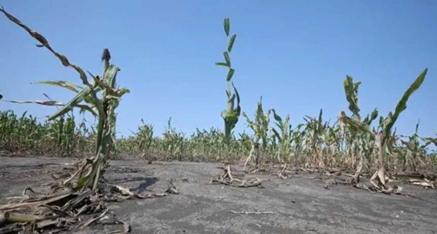 Este invierno fue el séptimo más seco en 61 años y el campo toma nota de la tendencia