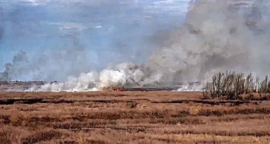 Quiénes son los dueños de las explotaciones agropecuarias en las islas