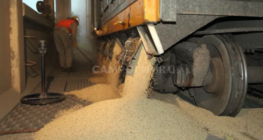 Por el dólar especial ya se vendieron casi 7 millones de toneladas de soja