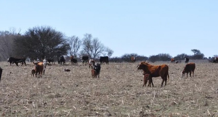 Clima: La Niña se planta hasta el 2023