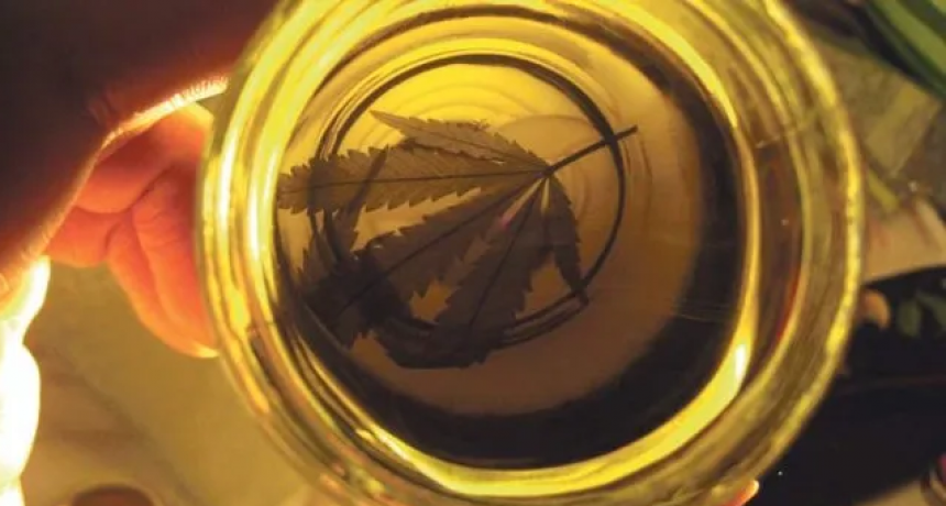 La provincia analiza el uso de cannabis medicinal en pacientes con cáncer