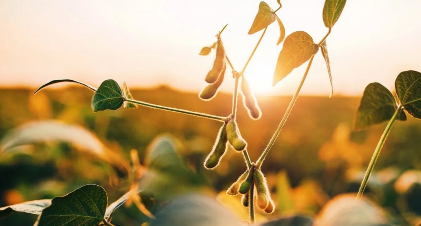 Los meteorólogos adelantan la finalización de La Niña para principios del año próximo