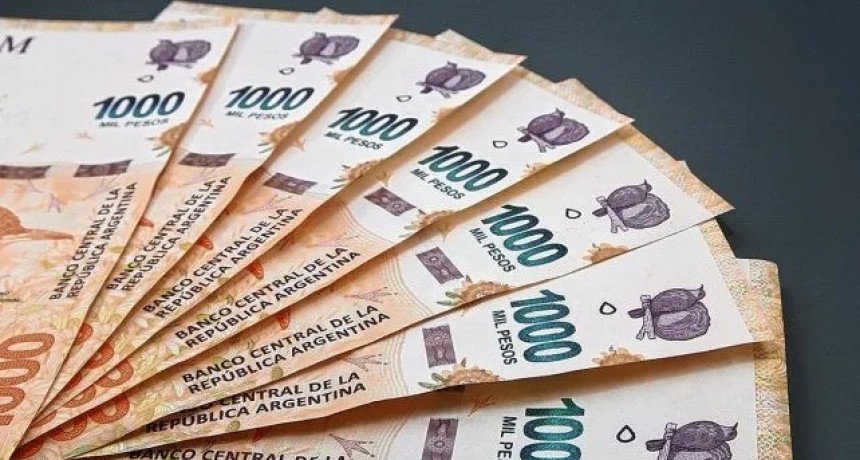 Nuevo bono de 50.000 de Ansés para sectores vulnerables