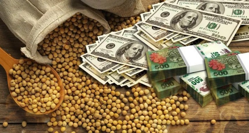 Dólar soja: se comercializaron 12,8 millones de toneladas