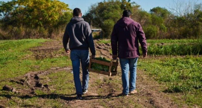 Se prorrogó hasta el 2 de octubre la inscripción al programa Módulos Productivos de la Agricultura Familiar