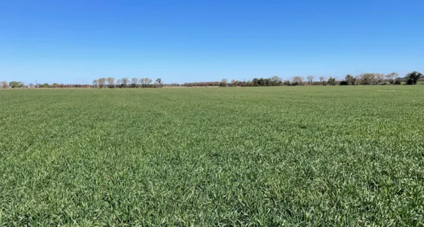 Septiembre se retira sin lluvias y con clima primaveral