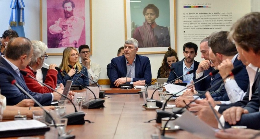 LEY DE HUMEDALES: EXPERTOS CUESTIONARON EL PROYECTO DEL OFICIALISMO Y ASEGURARON QUE NO SOLUCIONA LOS PROBLEMAS DE INCENDIOS