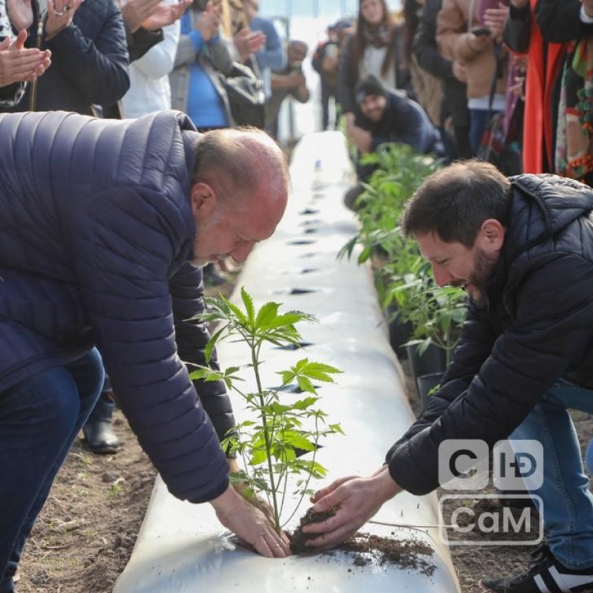 Ya funcionan los primeros consultorios de cannabis medicinal en centros de salud públicos de Santa Fe