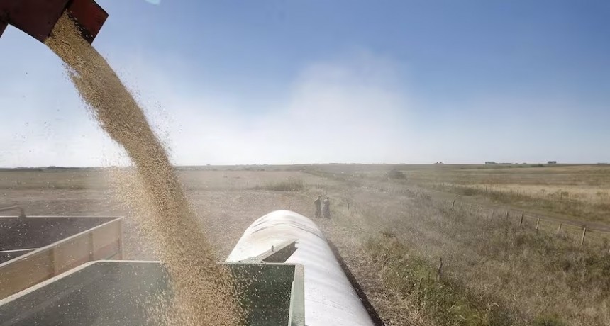 Mercado de granos: entre aprovechar la ventana cambiaria o vender solo lo justo para los compromisos