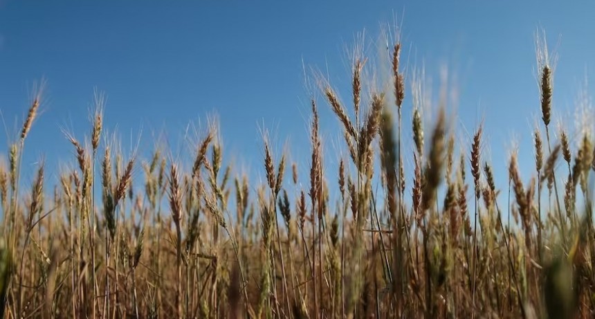 Las lluvias y las proyecciones para 2024 traen dosis de optimismo