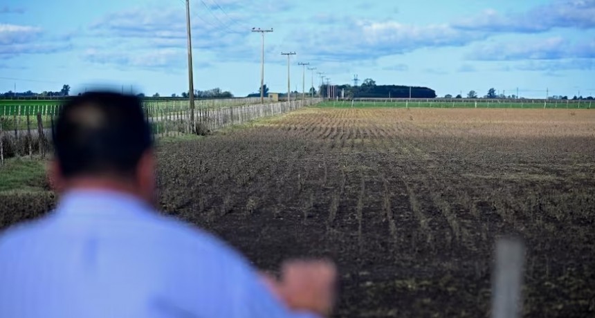 Tras la sequía y ante el próximo gobierno: en el campo no tienen margen para los errores