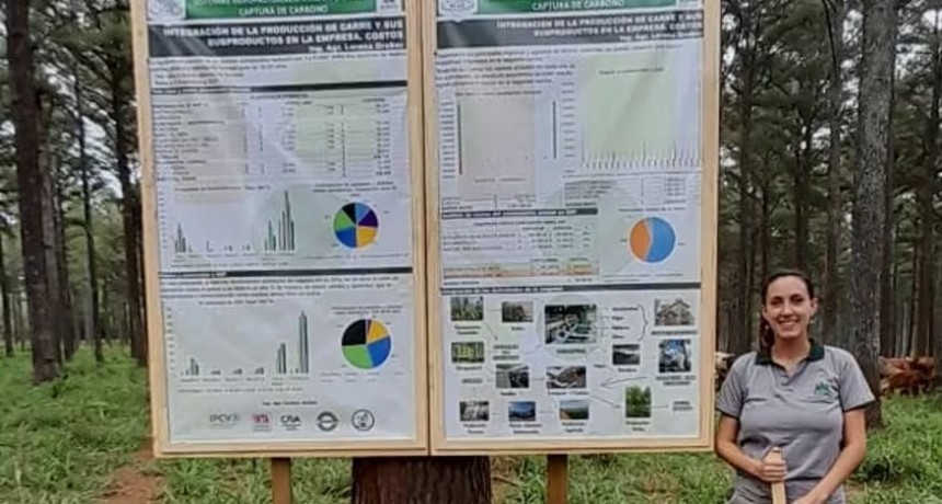 Comenzaron con las vacas para que coman los empleados y hoy tienen una empresa modelo