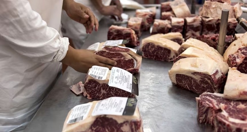 Preocupación: se desaceleró la faena de hacienda y los frigoríficos acortan su trabajo semanal