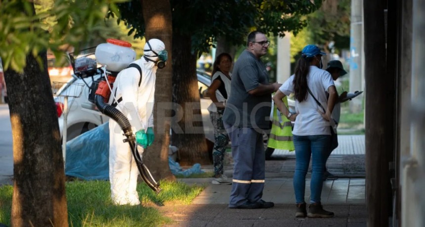 Dengue en Santa Fe: Martorano confirmó que habrá vacunas, pero advirtió que solo sirven como prevención
