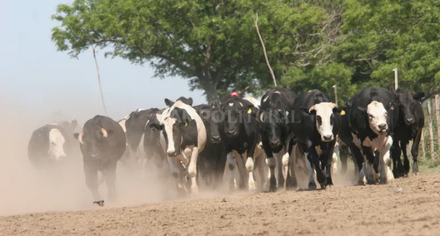  Crisis galopante en el sector y remate de tambos
