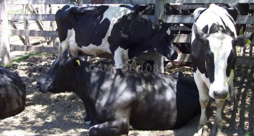 Los anuncios de Massa no convencen  