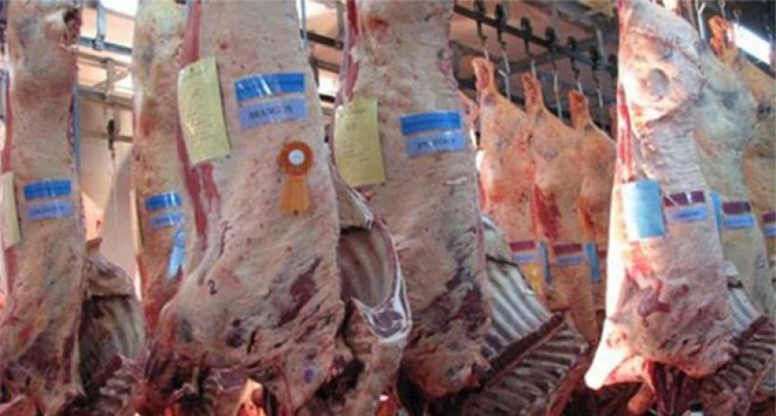Se pondr&aacute; en marcha la plataforma de trazabilidad de soja y carne bovina libres de deforestaci&oacute;n