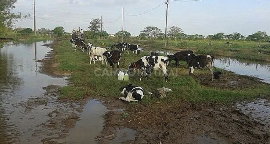  Aunque venga demorado, mejor ir preparándose para recibir El Niño en el campo