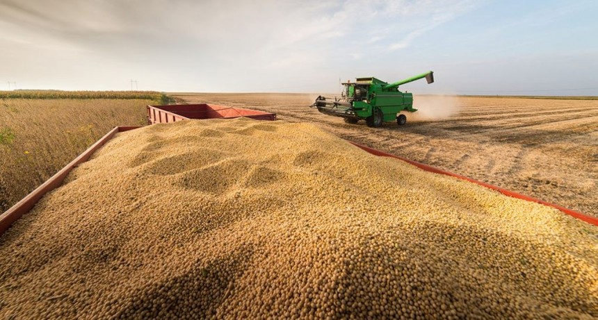 Granos: Los precios internacionales, a la merced de lo que suceda en la cosecha norteamericana