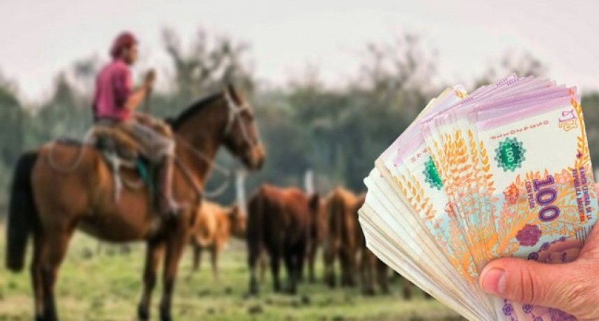 CRA presentó ante la Justicia una impugnación por el bono de $ 60 mil