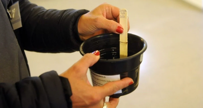 Colocaron ovitrampas en 35 barrios santafesinos