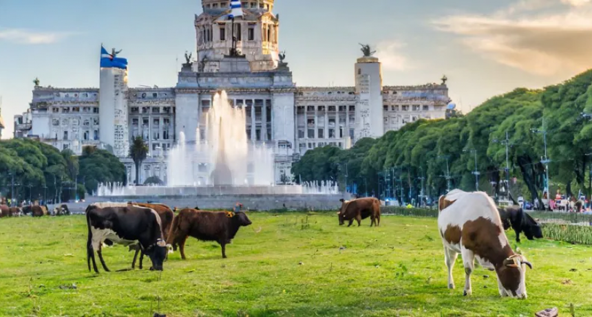 Los proyectos clave para el sector agropecuario que se debatirán en el Congreso 