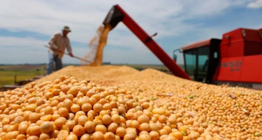 Agro: Santiago del Estero escala en posiciones en el ránking de ventas al exterior