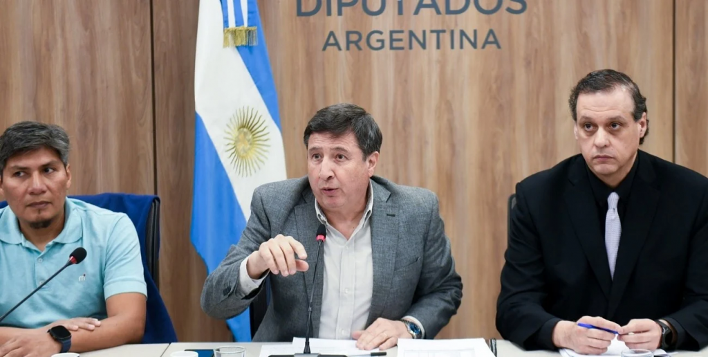 Diputados pone la lupa sobre ANDIS, a la espera de que se aplique la Emergencia en Discapacidad