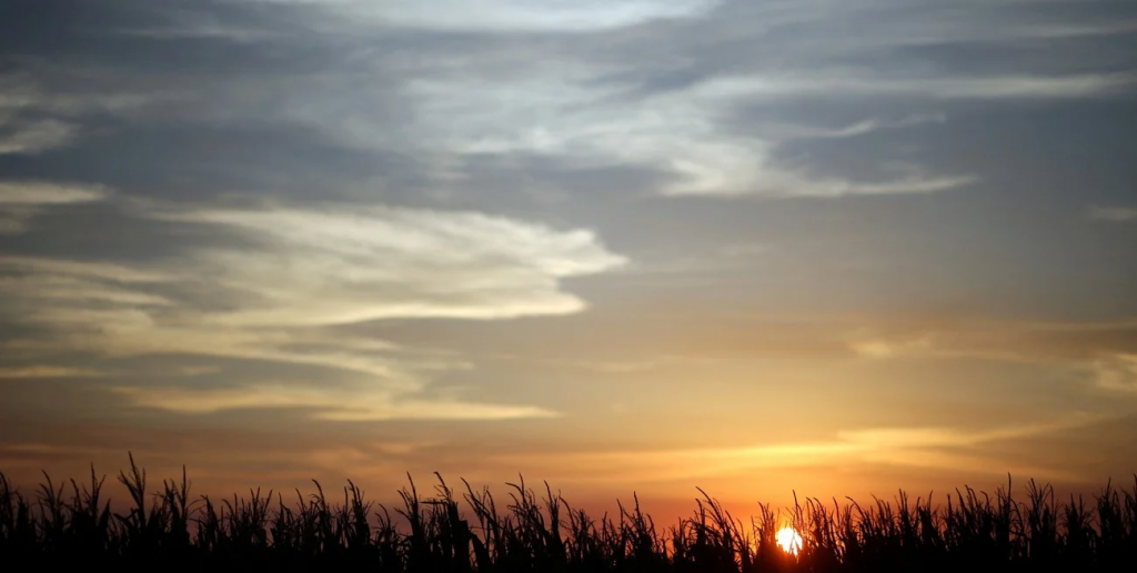 Perspectivas climáticas para la campaña agrícola 2025/26: ¿Regresa La Niña?