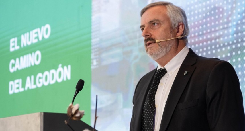 Con biotecnología 100% nacional, el algodón traza un “nuevo camino” para triplicar exportaciones