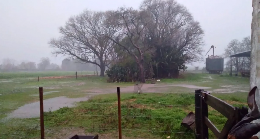 Tormenta de Santa Rosa: el impacto en la producci&oacute;n agr&iacute;cola y ganadera de Santa Fe
