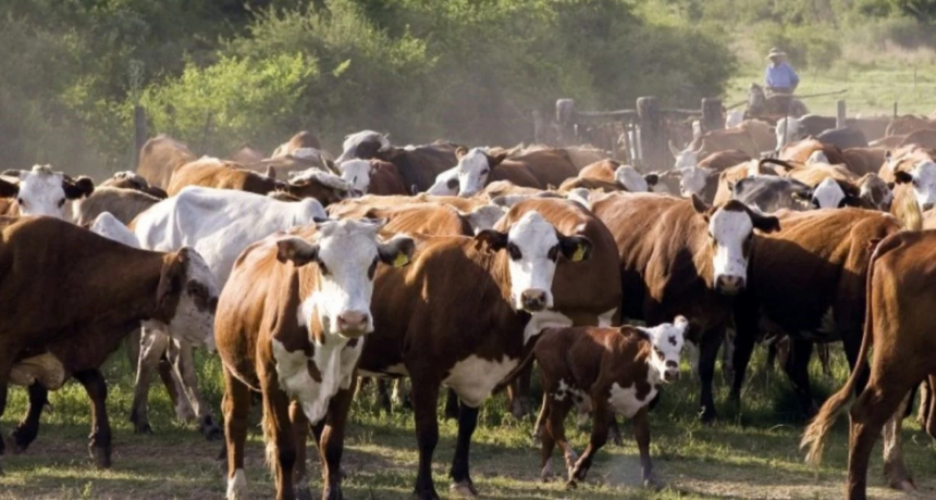 Nuevamente el clima se impone y obliga a replantear estrategias