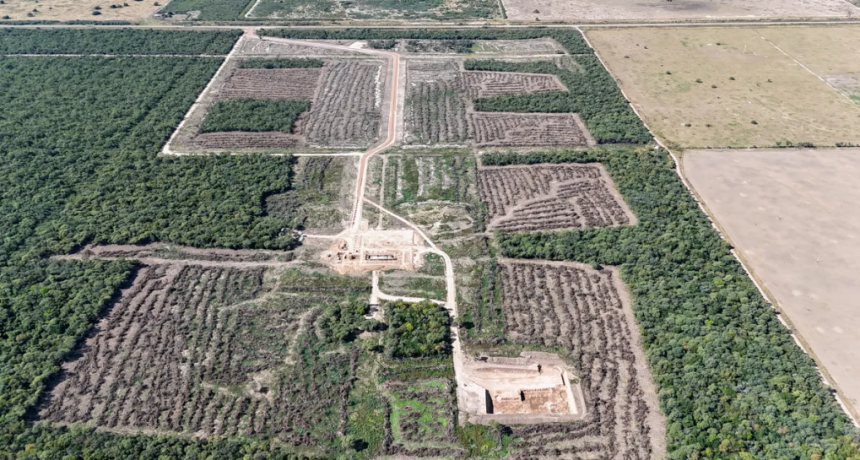 La Provincia frenó un desmonte ilegal de casi 50 hectáreas en el norte santafesino