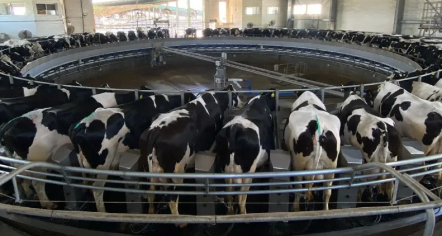 El CAR de Venado Tuerto inaugura un tambo robotizado y refuerza la educación agropecuaria de vanguardia