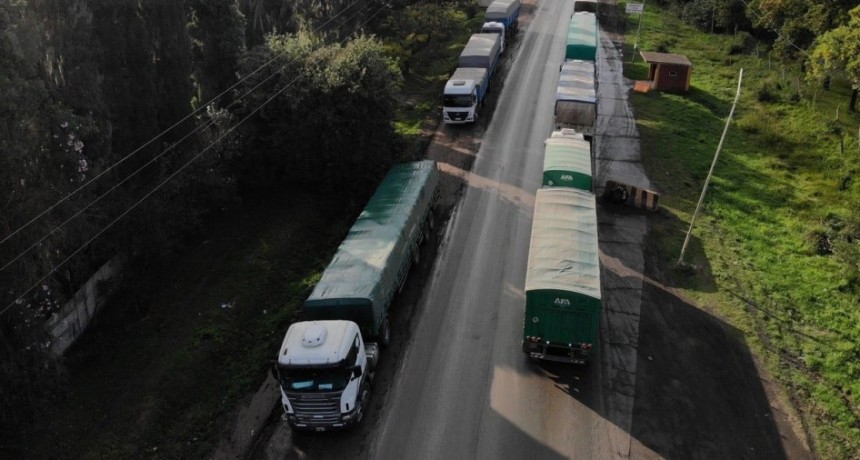 Costos de transporte en el sector granario argentino: Más caros que en Brasil y EE. UU