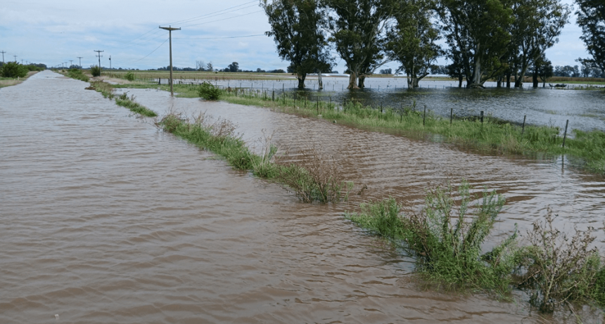Inundaciones: ARCA habilitó beneficios impositivos para productores en emergencia de Buenos Aires