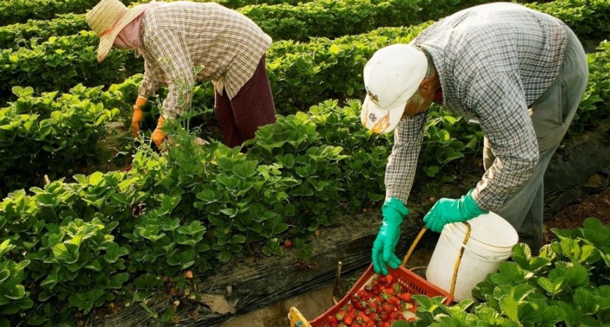 Denuncia por supuesto trabajo esclavo en un campo en Arroyo Leyes