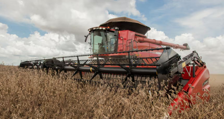 ¿Otro dólar soja?: los productores anticipan que comercializarán más tras la medida del Gobierno, pero señalan reparos