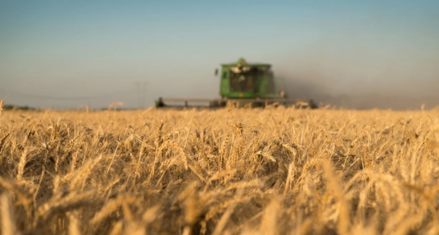 Sin retenciones hasta octubre: Corredores de Cereales valoran la medida