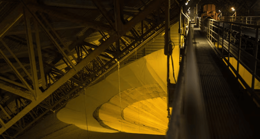 China aprovecha el “ofertón” de la soja argentina sin retenciones y sale de tour de compras