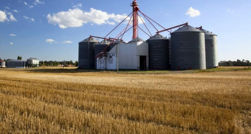 Mercado de granos: r&eacute;cord de operaciones tras la suspensi&oacute;n de derechos de exportaci&oacute;n