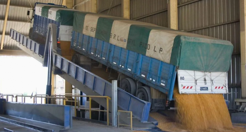 Fuerte malestar en el agro tras el fin anticipado del régimen de retenciones cero: “No nos pasó ni cerca”