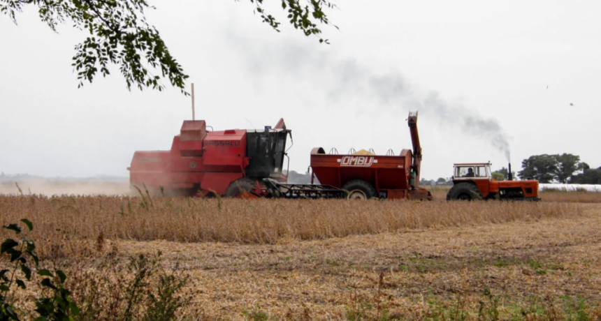 Retenciones cero agotadas en 72 horas: Carsfe pide que se reimplanten y se prolongue el beneficio