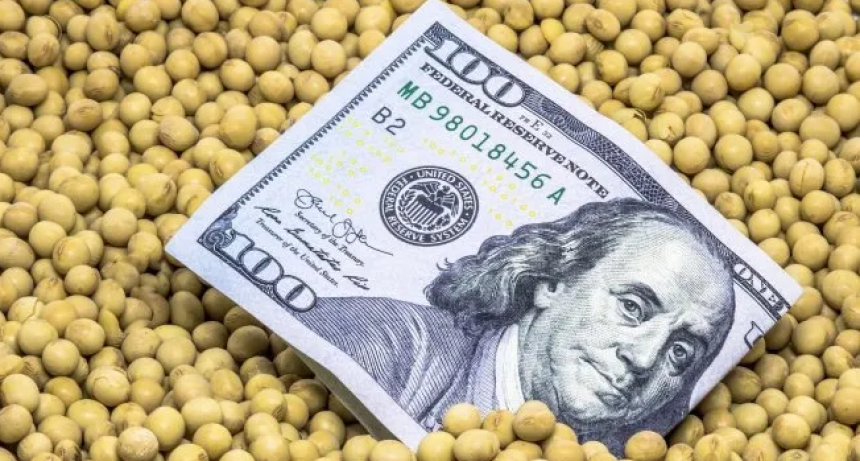 Sojeros de EEUU protestan contra Donald Trump por los aranceles: por qu&eacute; Argentina y Brasil son los m&aacute;s beneficiados