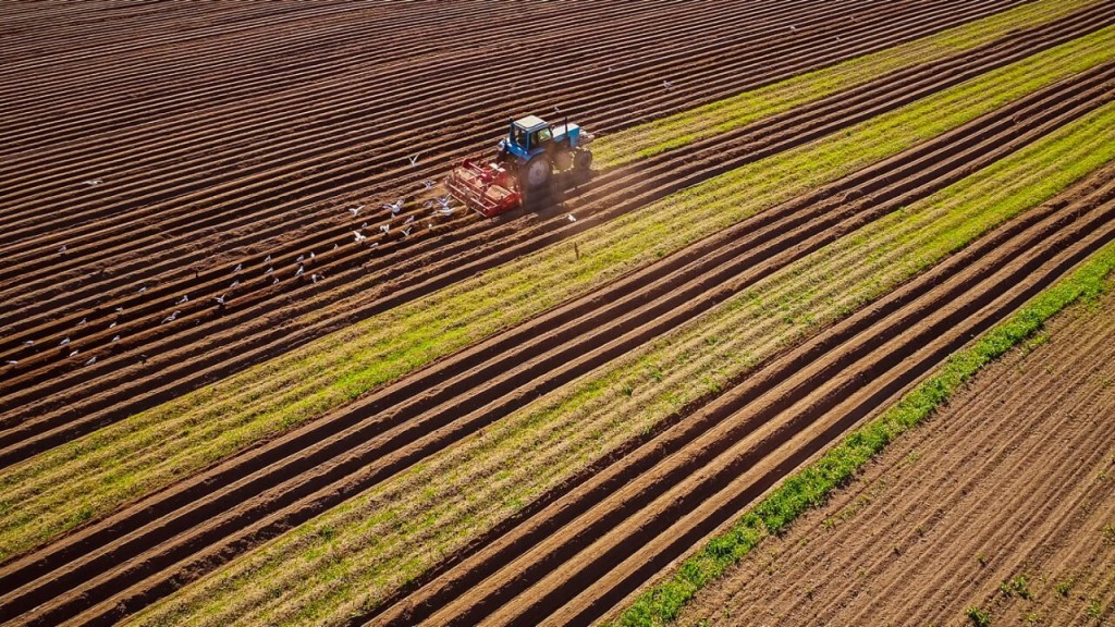 Día Mundial de los Fertilizantes: un recurso clave para asegurar los alimentos que demanda el mundo