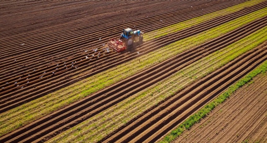 D&iacute;a Mundial de los Fertilizantes: un recurso clave para asegurar los alimentos que demanda el mundo